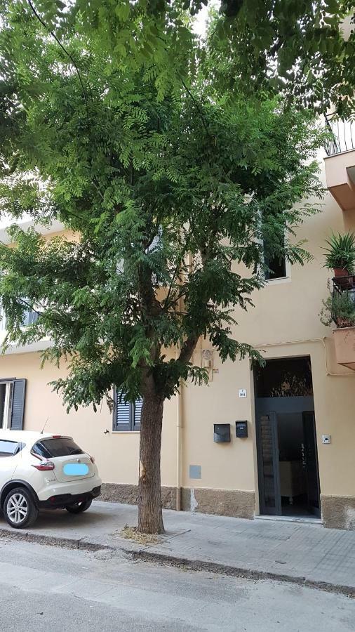 Musica 2* Alghero